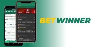 BetWinner Sports Betting Platform Your Guide to Successful Betting